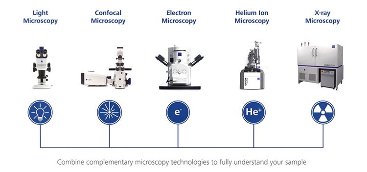 娄底共聚焦显微镜