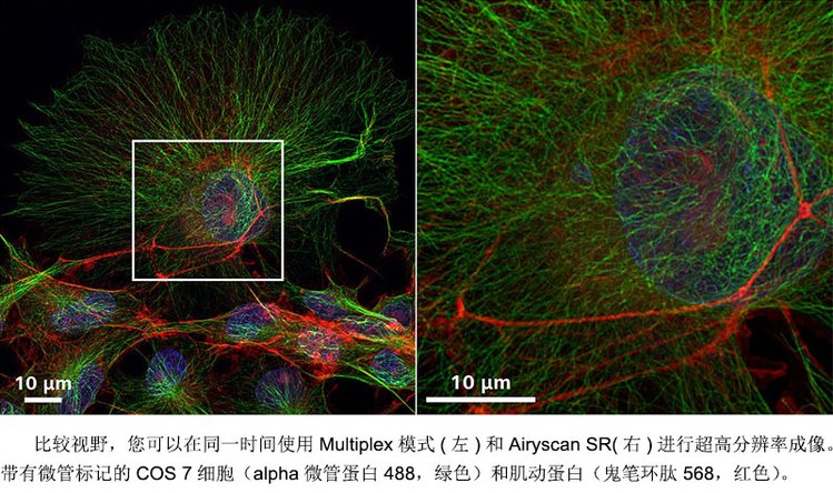 娄底共聚焦显微镜