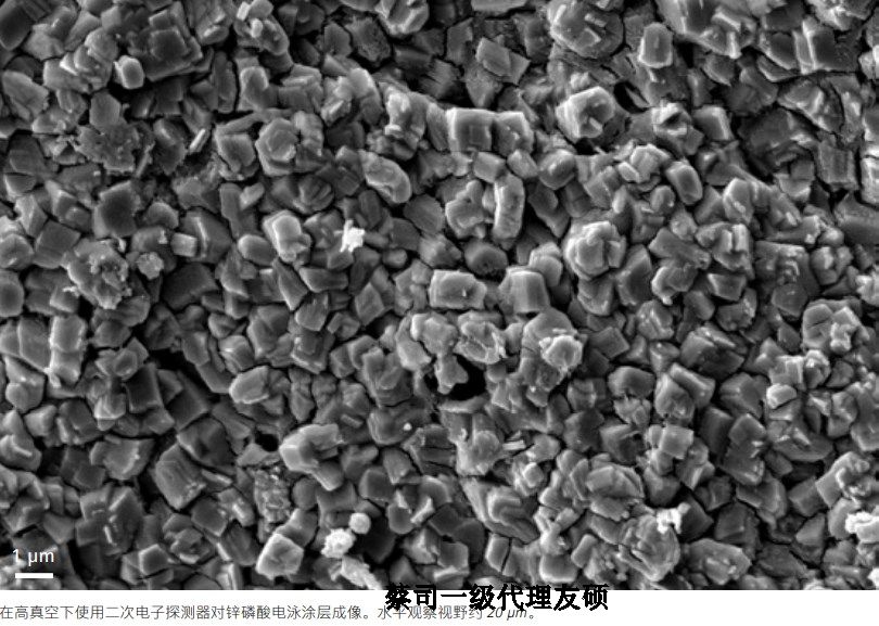 娄底蔡司娄底扫描电镜