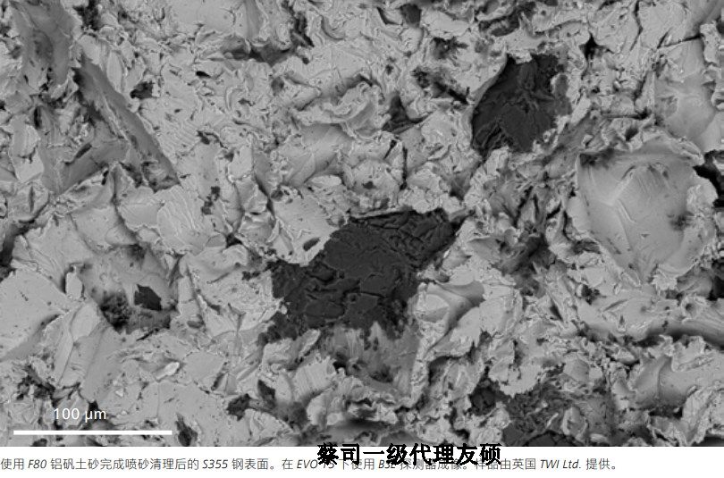 娄底蔡司娄底扫描电镜EVO