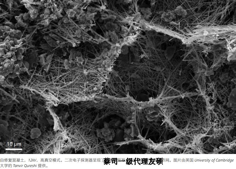 娄底蔡司娄底扫描电镜