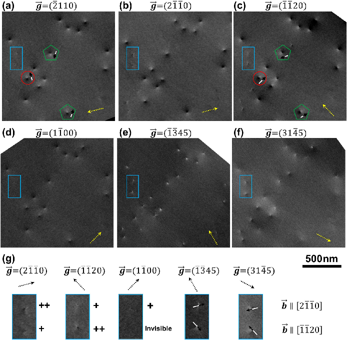 场发射娄底扫描电镜