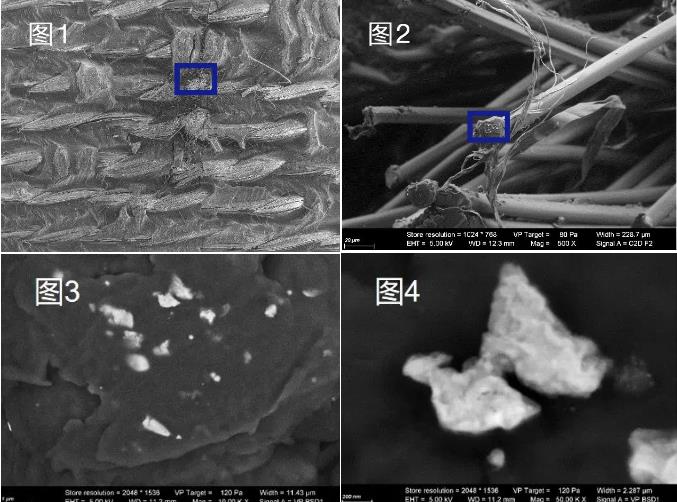 娄底蔡司娄底扫描电镜