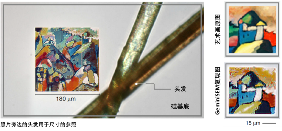 娄底蔡司娄底扫描电镜