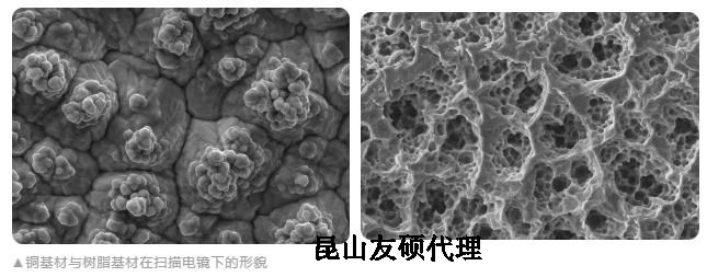 娄底蔡司娄底扫描电镜