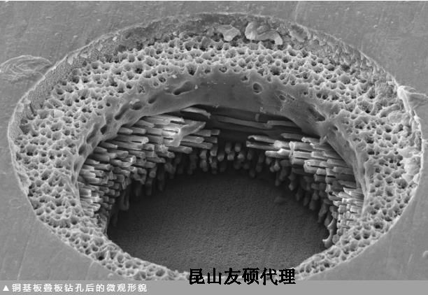 娄底蔡司娄底扫描电镜